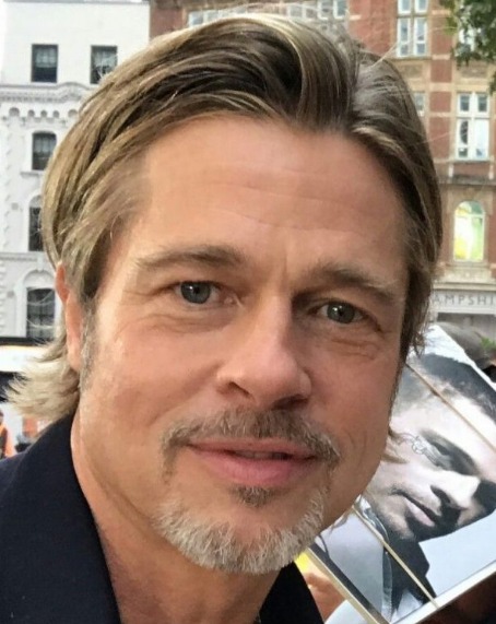Was ist das Einkommen von Brad Pitt? 